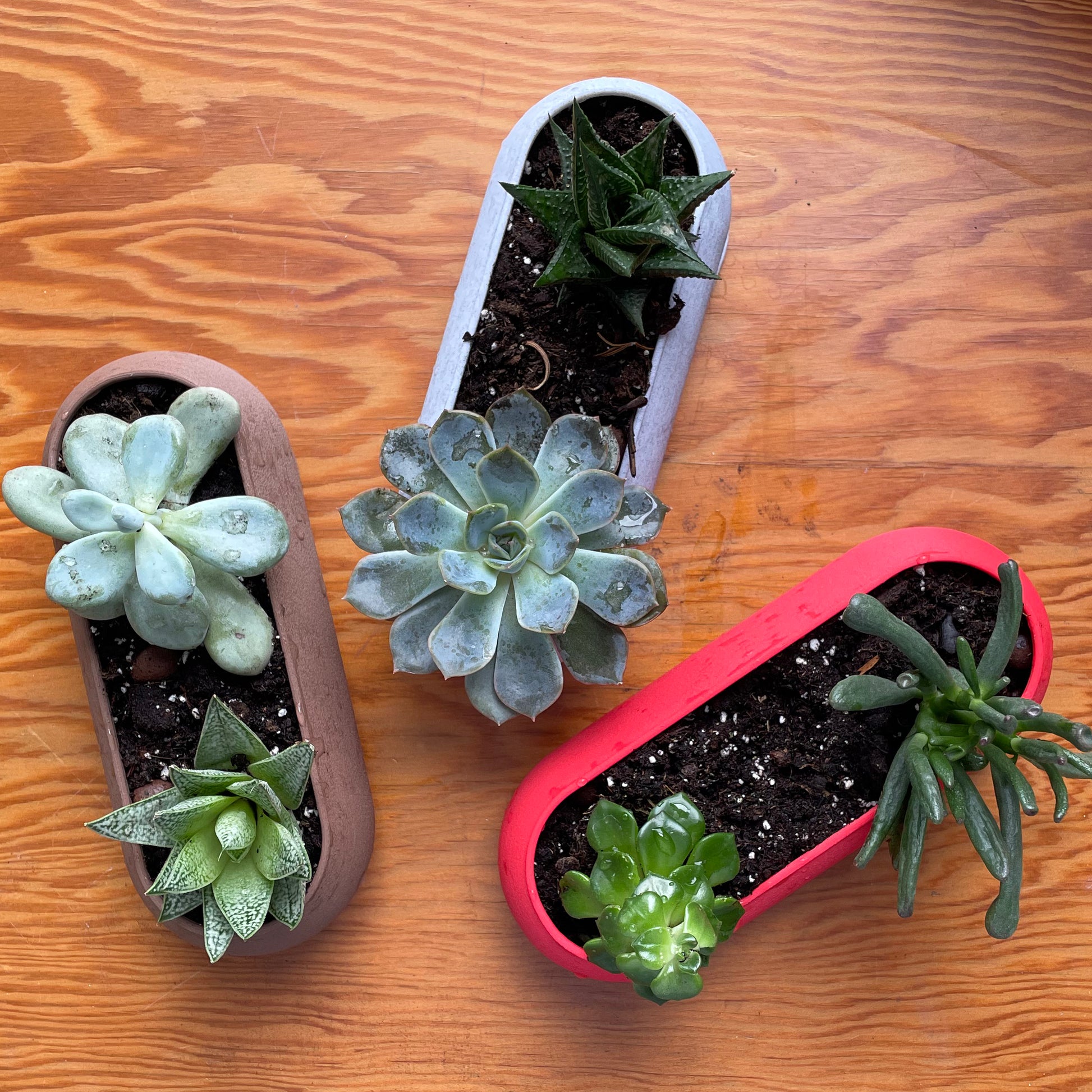 Long Planter