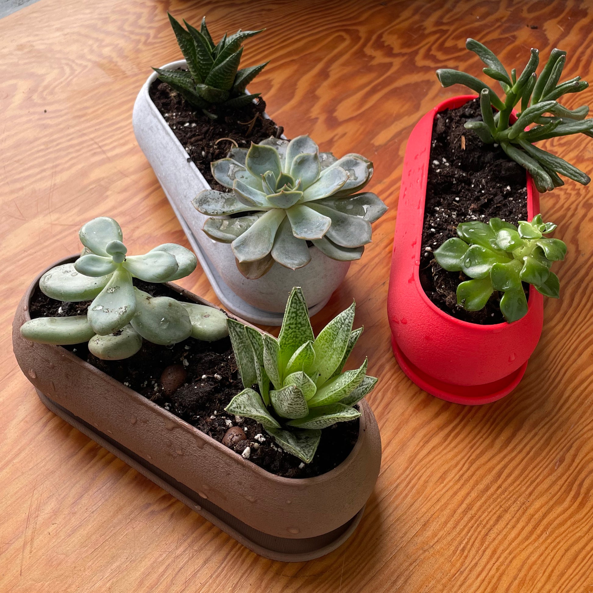 Long Planter